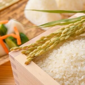 ARROZ KOSHIHIKARI KG