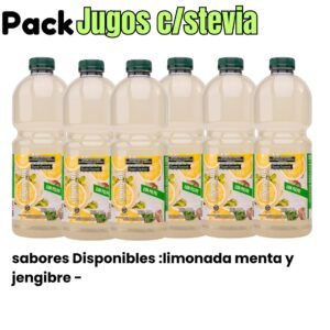 6 JUGOS NATURALES CON STEVIA 1,5 LTS. -LIMONADA MENTA Y JENGIBRE